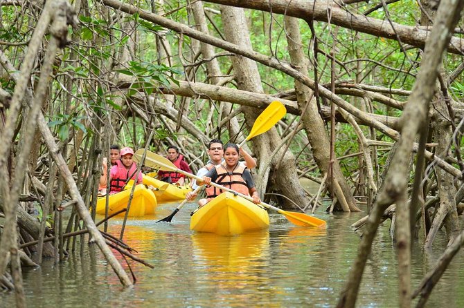 Damas Island Kayaking Tour 3