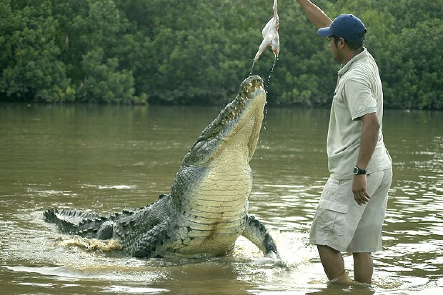 Jungle River & Crocodile Adventure Tour 5