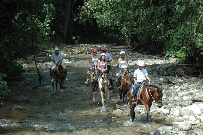 Manuel Antonio Horseback Riding 3