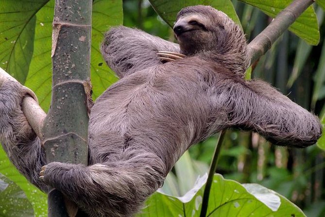 Manuel Antonio National Park — tour y aventura en Costa Rica