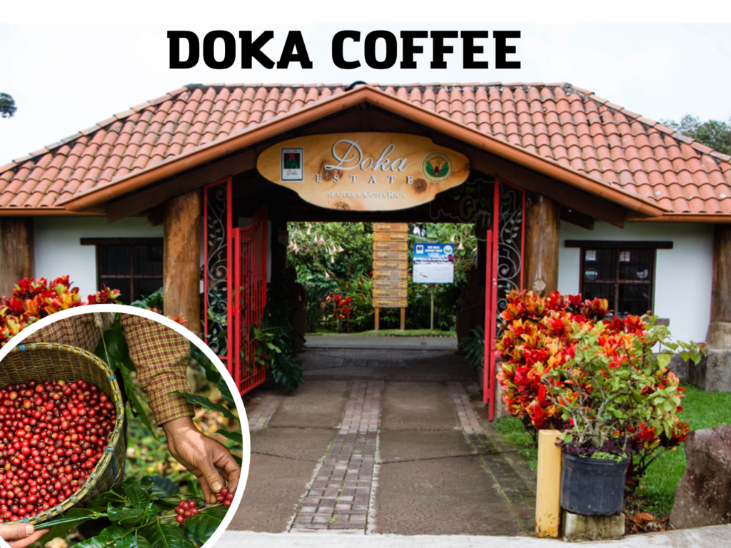 Poás Volcano, Doka Coffee & La Paz Waterfall — tour & adventure in Costa Rica