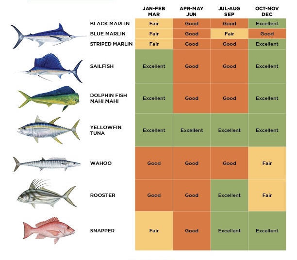 Costa Rica sportfishing seasons calendar — best months for marlin, sailfish, tuna, dorado, wahoo and roosterfish.