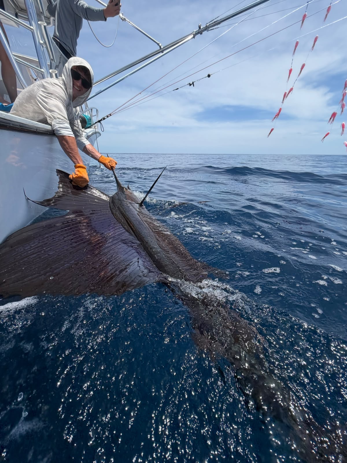 33' Carolina Classic 3