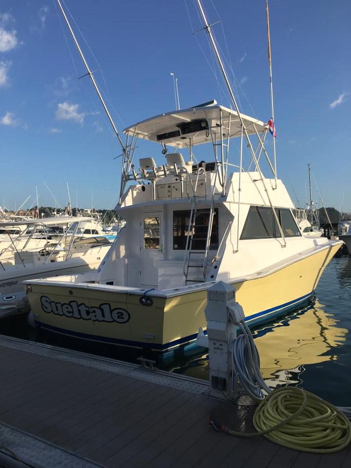Sueltalo #2 — 41ft Viking Sport Fish — sportfishing boat in Jacó, Costa Rica